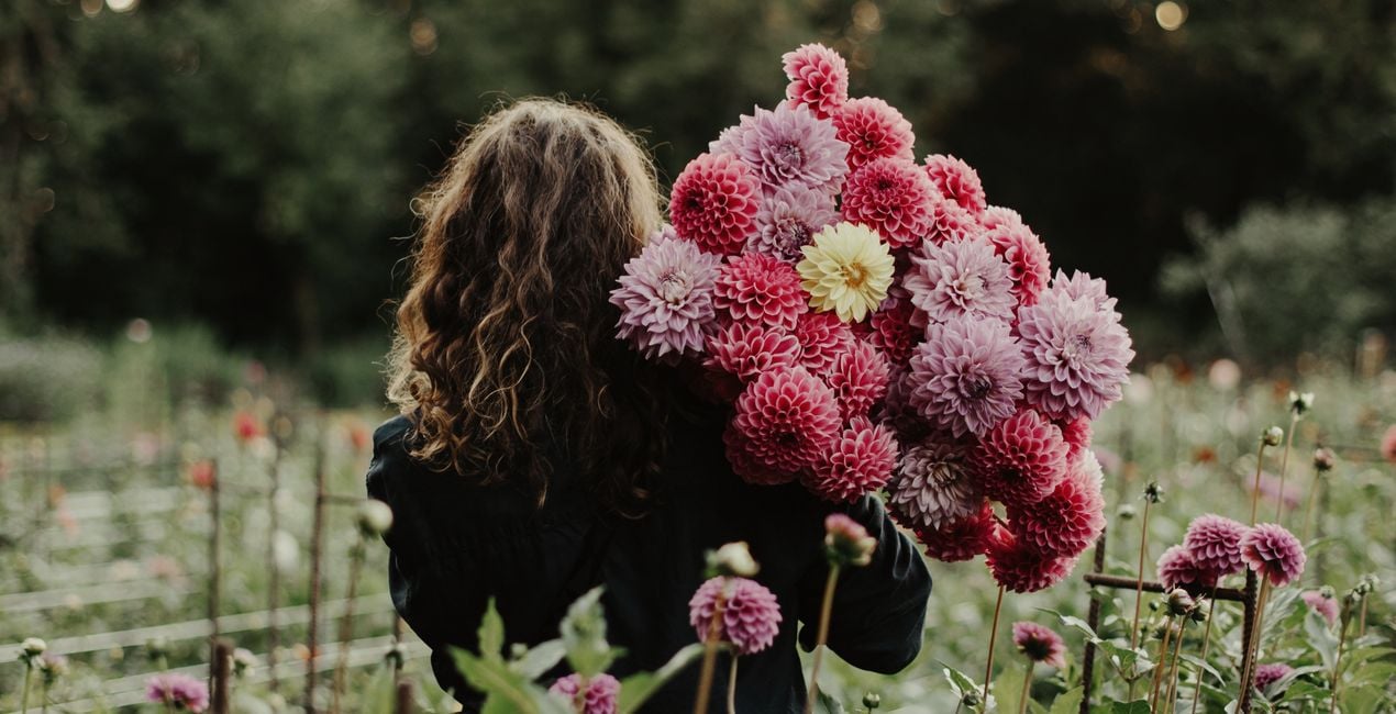 Sunlit Meadow Presets for Luminar | Marketplace(46)