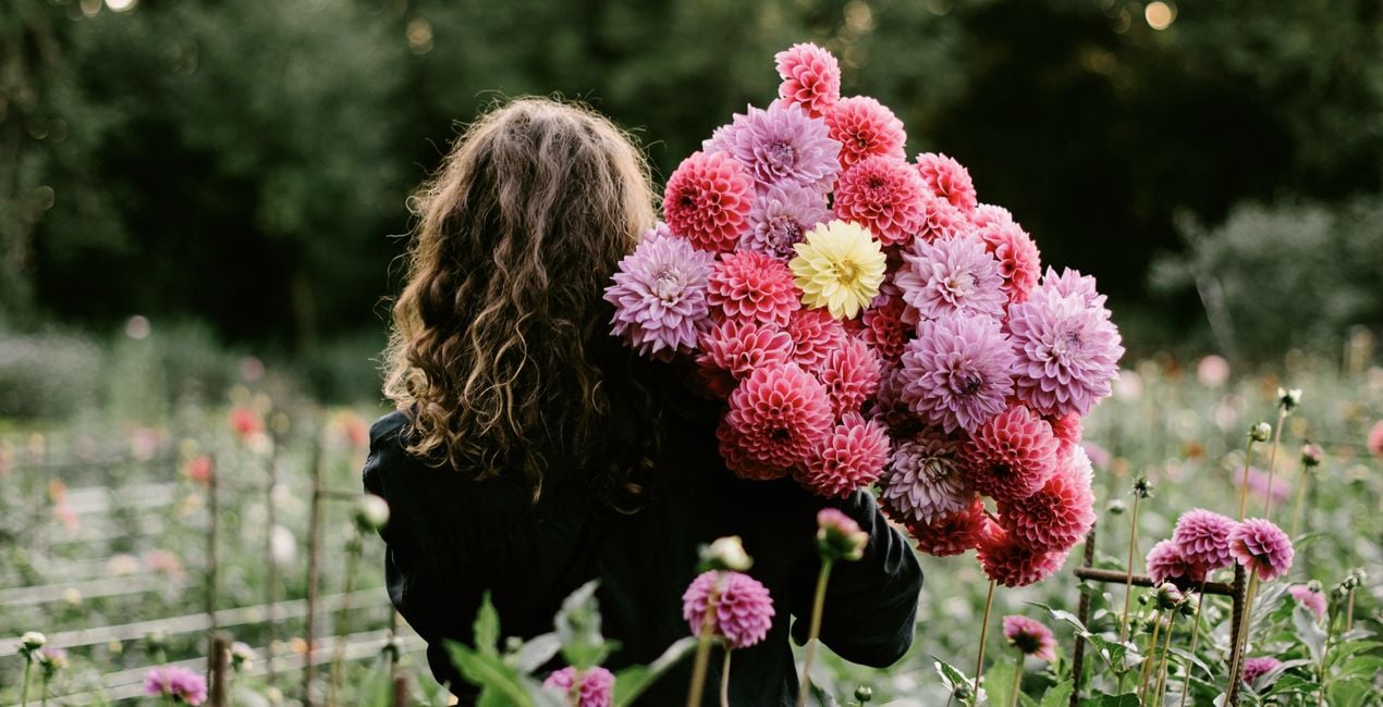 Sunlit Meadow Presets for Luminar | Marketplace(45)