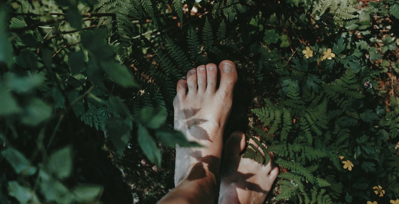 Sunlit Meadow Presets for Luminar | Marketplace(42)