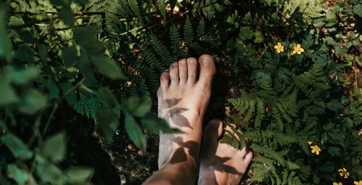 Sunlit Meadow Presets for Luminar | Marketplace(41)