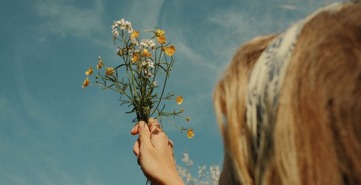 Sunlit Meadow Presets for Luminar | Marketplace(44)