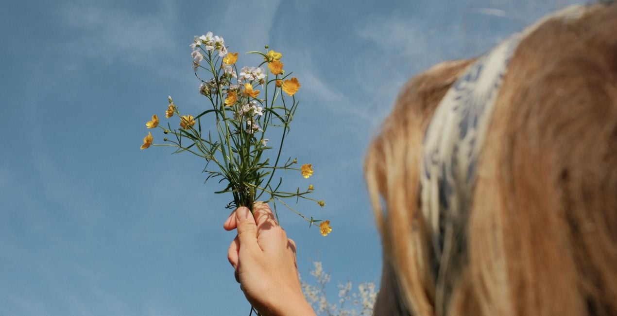 Sunlit Meadow Presets for Luminar | Marketplace(43)