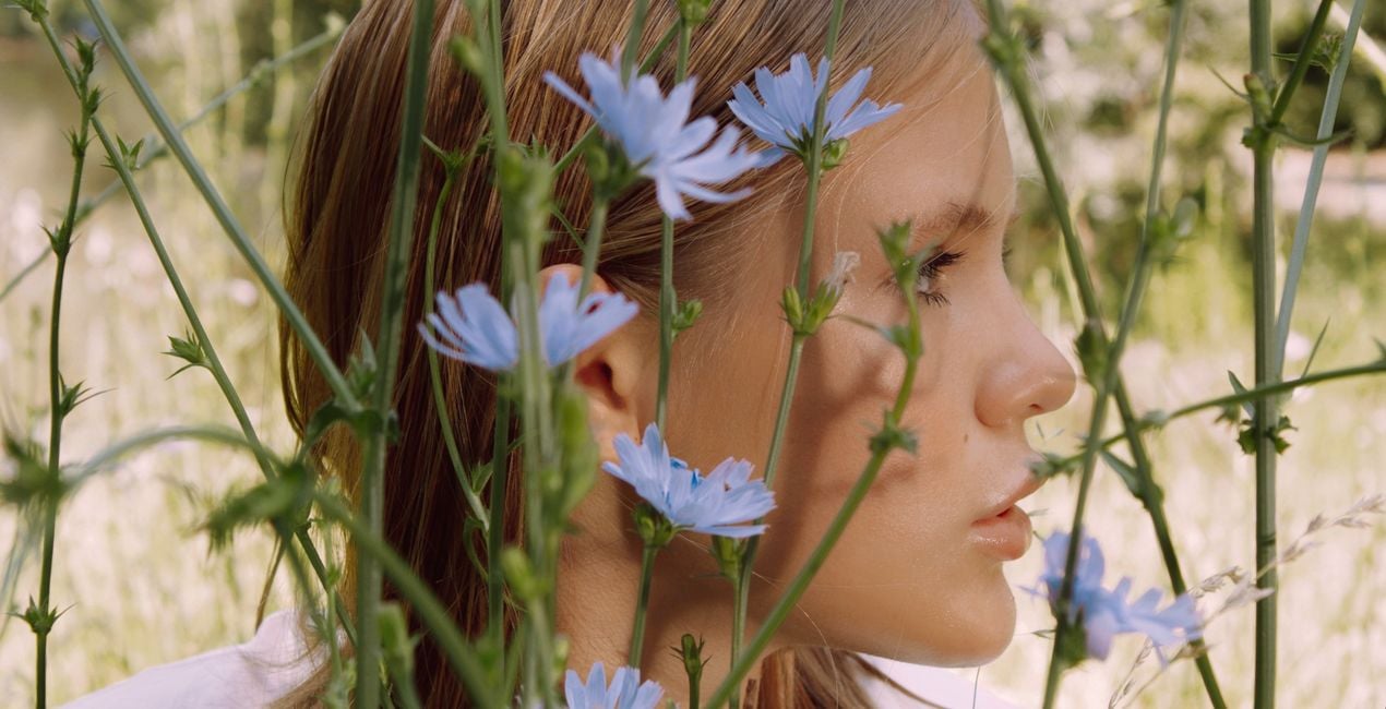 Sunlit Meadow Presets for Luminar | Marketplace(39)