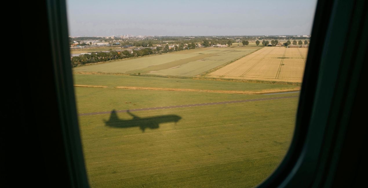 Préréglages Lumière Analogique pour Luminar | Marketplace(45)