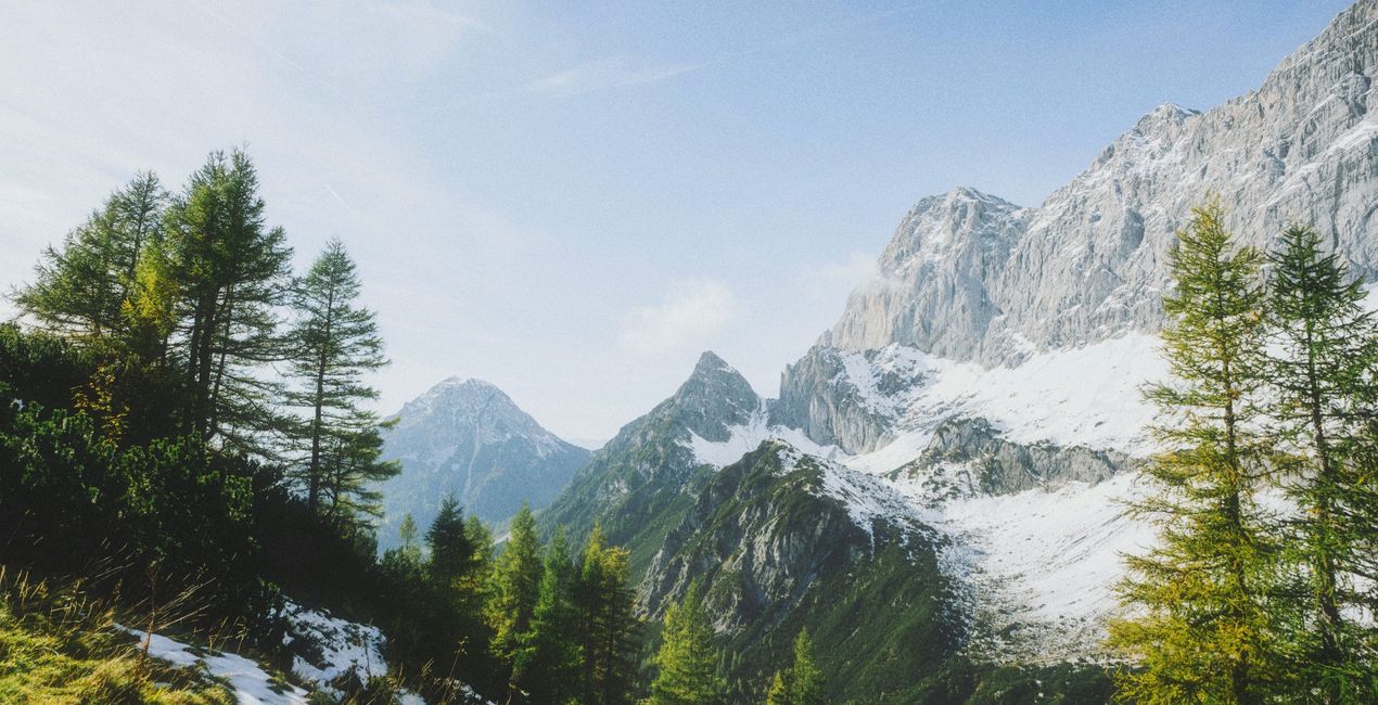 Spring Haze Presets for Luminar | Marketplace(46)