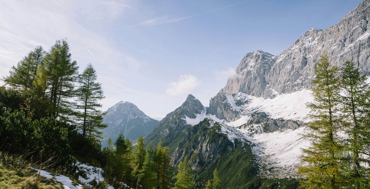 Spring Haze Presets for Luminar | Marketplace(45)