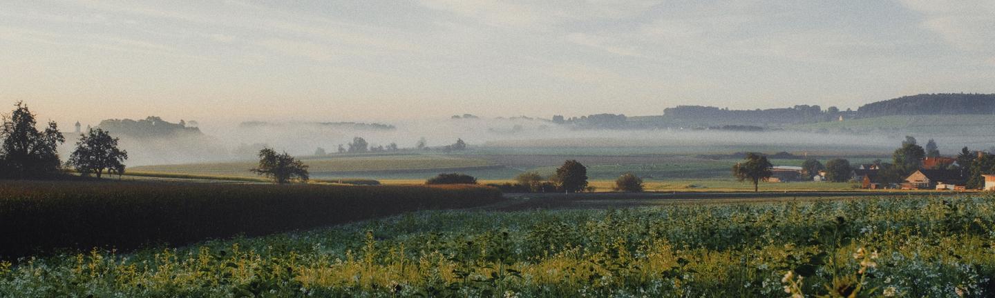 Spring Haze — slide 3