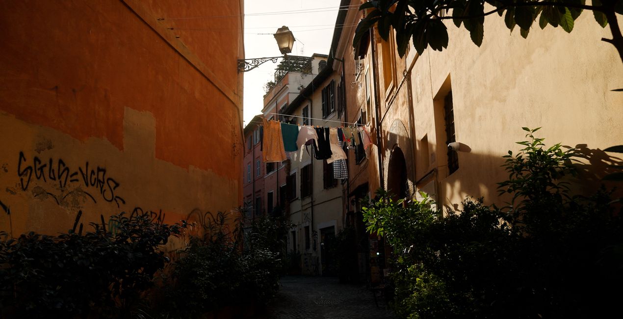 Velvet Atmosphere  LUTs | Luminar Marketplace(45)