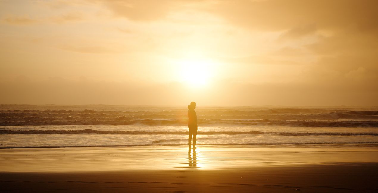 Velvet Atmosphere  LUTs | Luminar Marketplace(49)