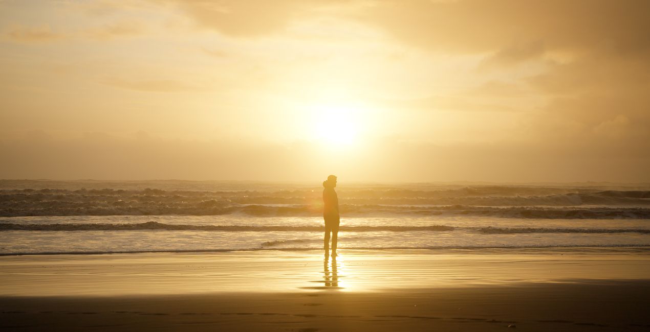 Velvet Atmosphere  LUTs | Luminar Marketplace(48)