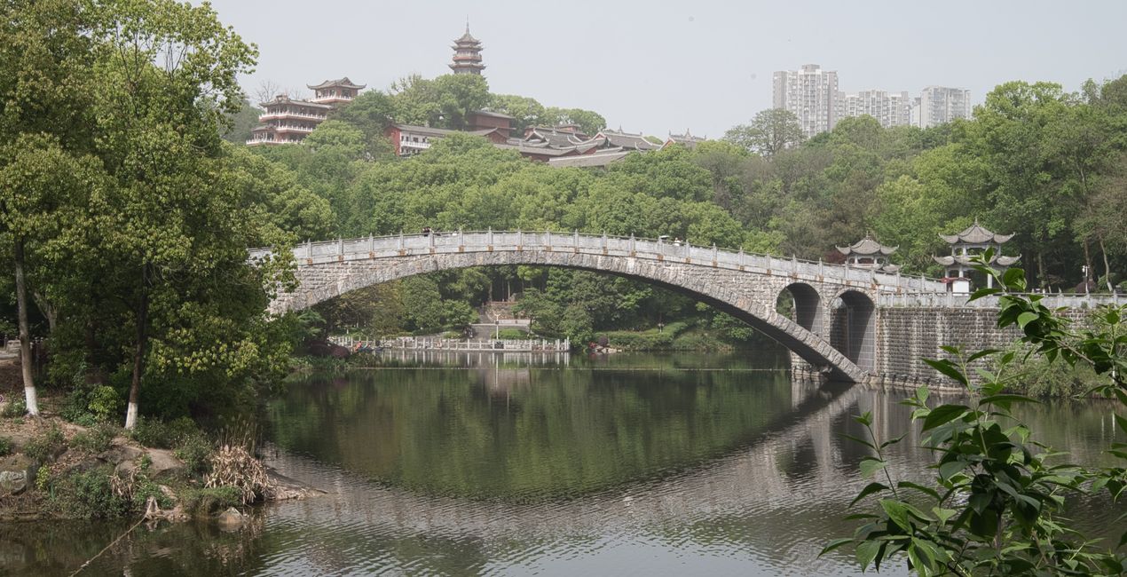 China Aesthetic Presets for Luminar | Marketplace(48)