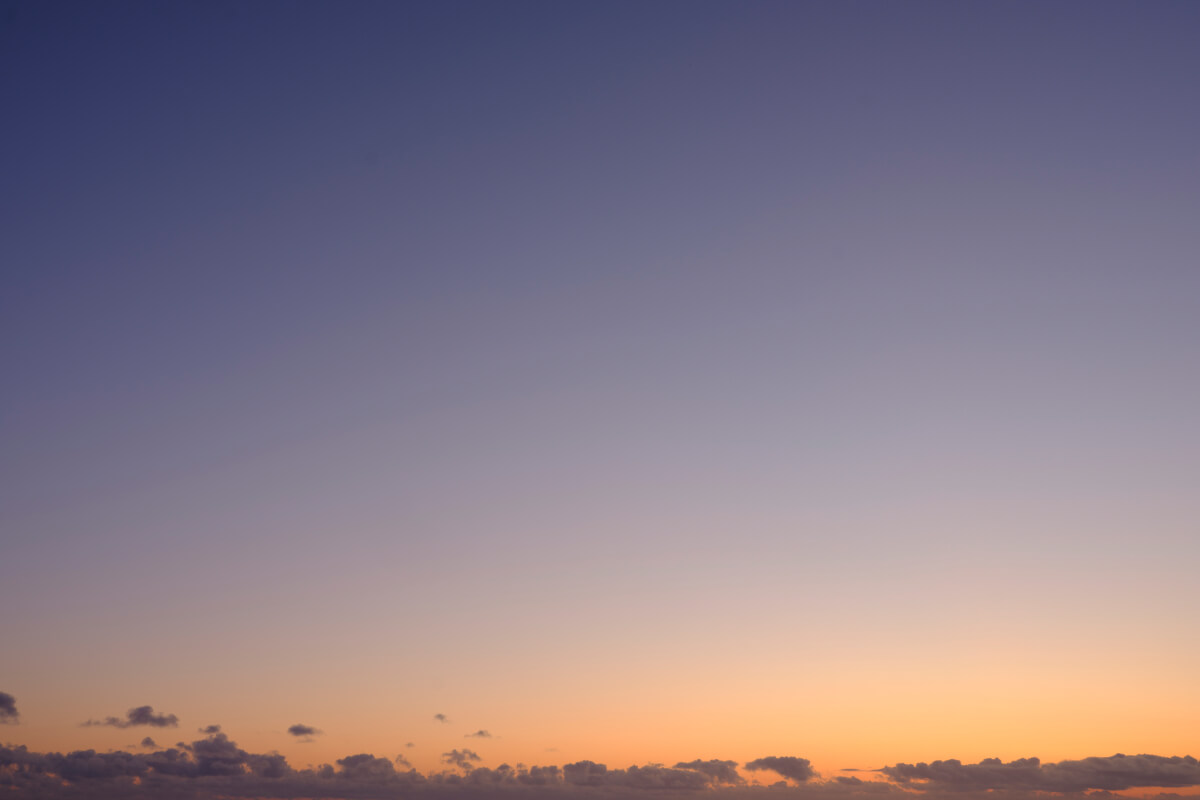 Radiant Sunlight(54)