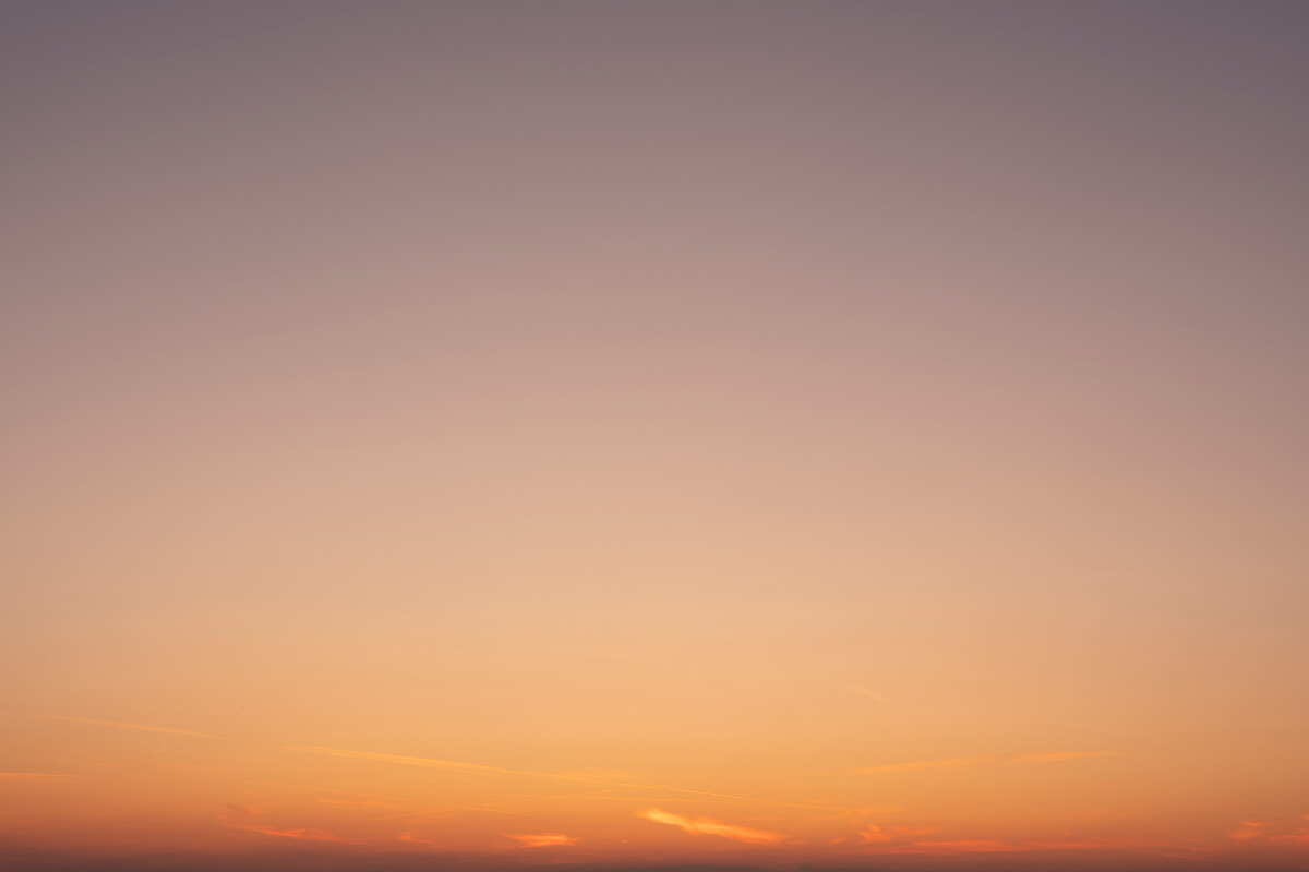 Radiant Sunlight(55)