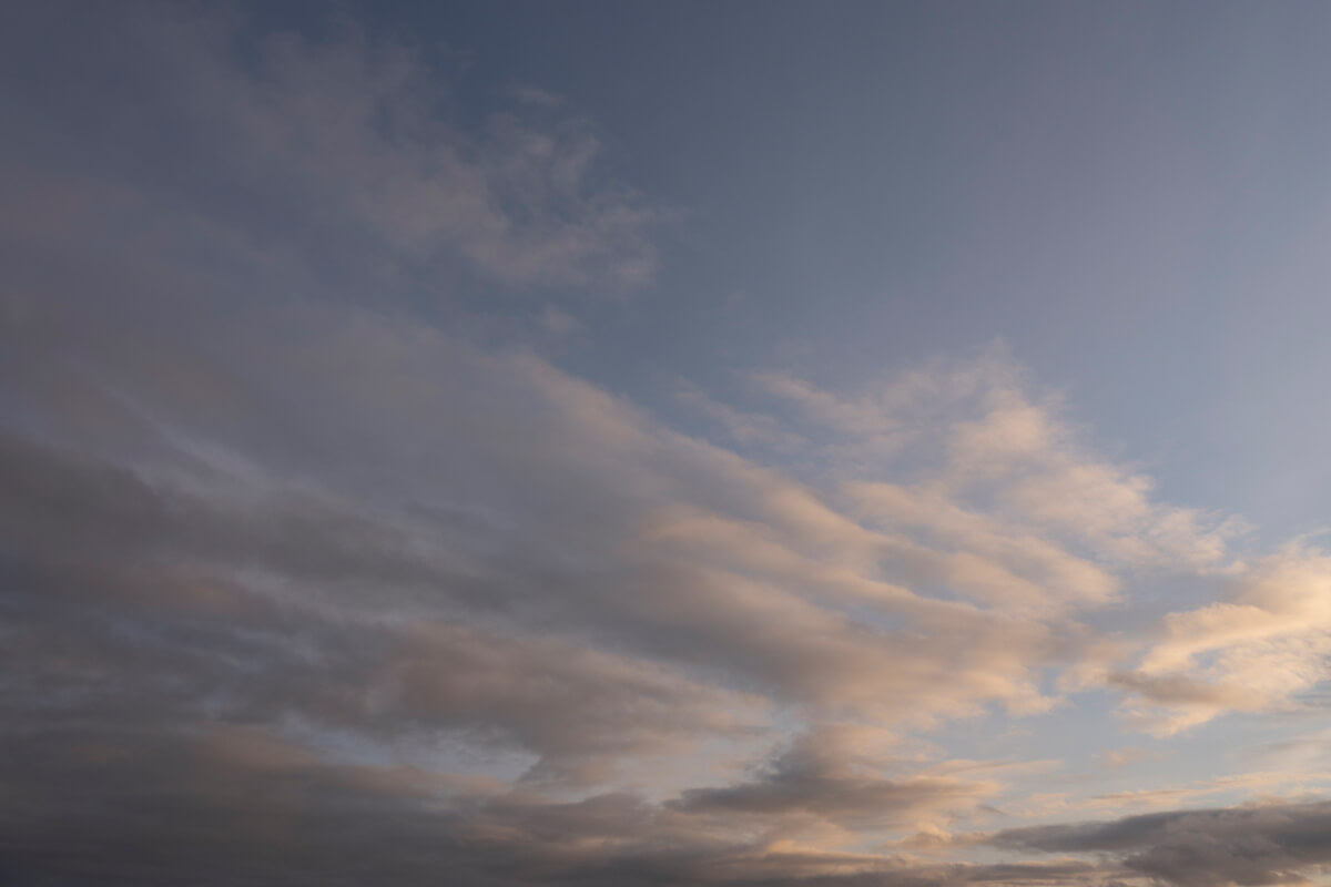 Radiant Sunlight(61)