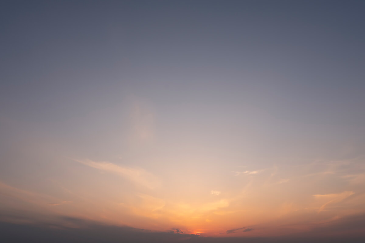 Radiant Sunlight(67)