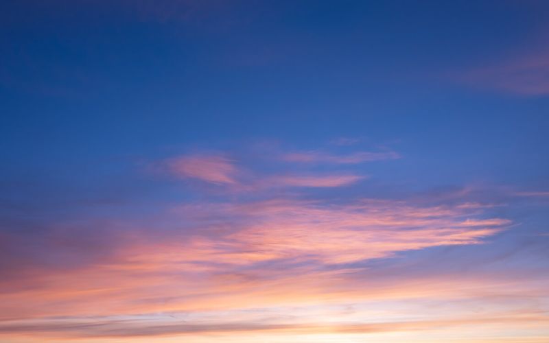 パックに含まれる空(20)