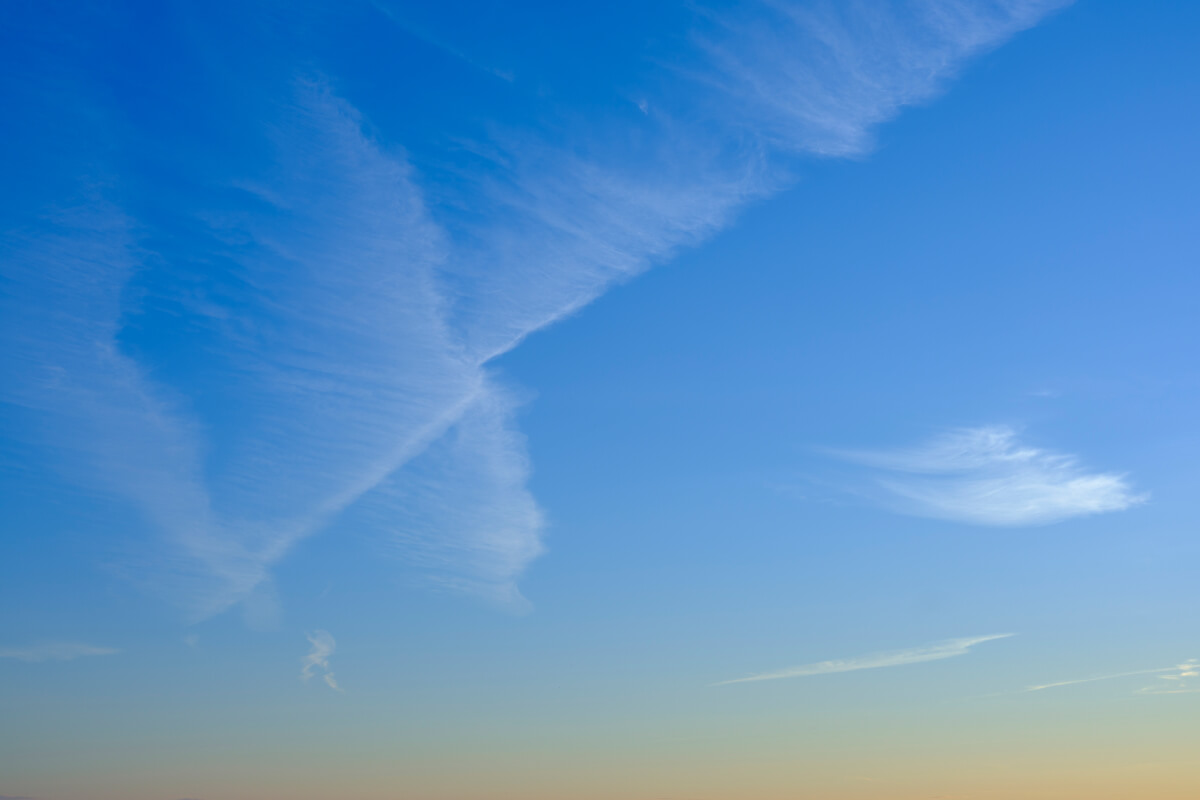 Radiant Sunlight(72)