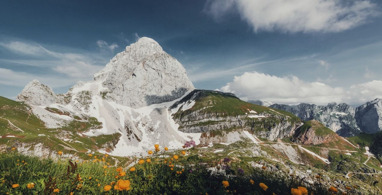 LUTs Sanftes Erwachen für deine Fotos.(42)
