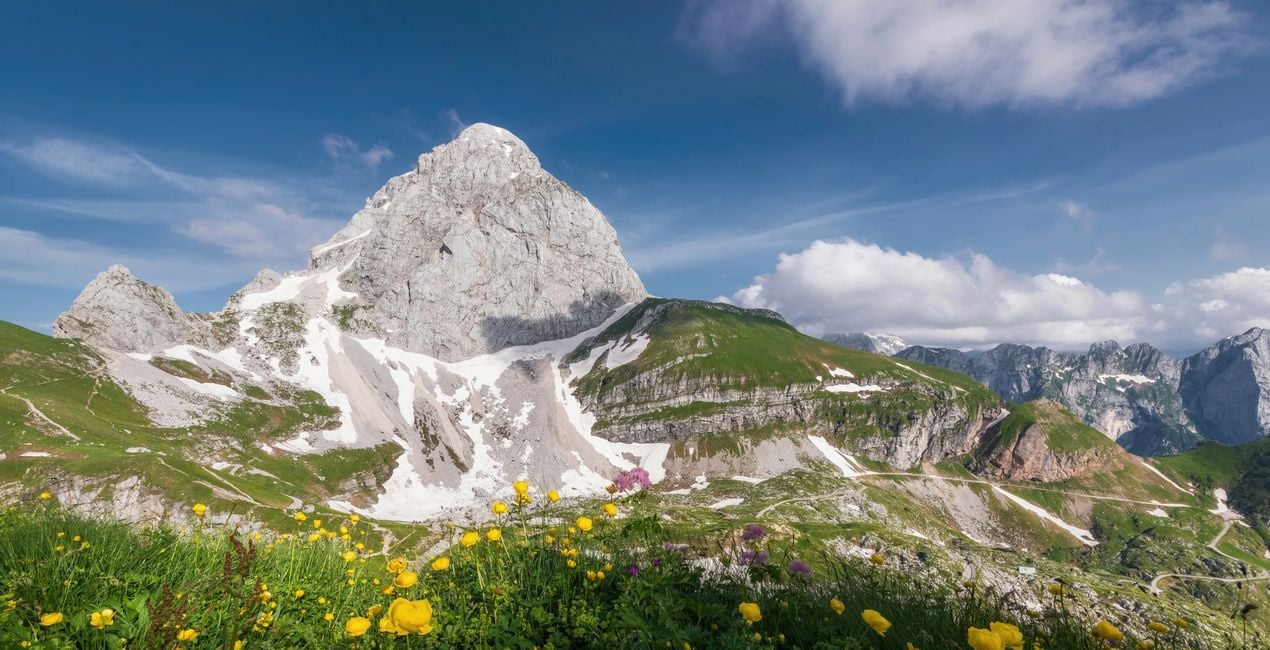 LUTs Sanftes Erwachen für deine Fotos.(41)