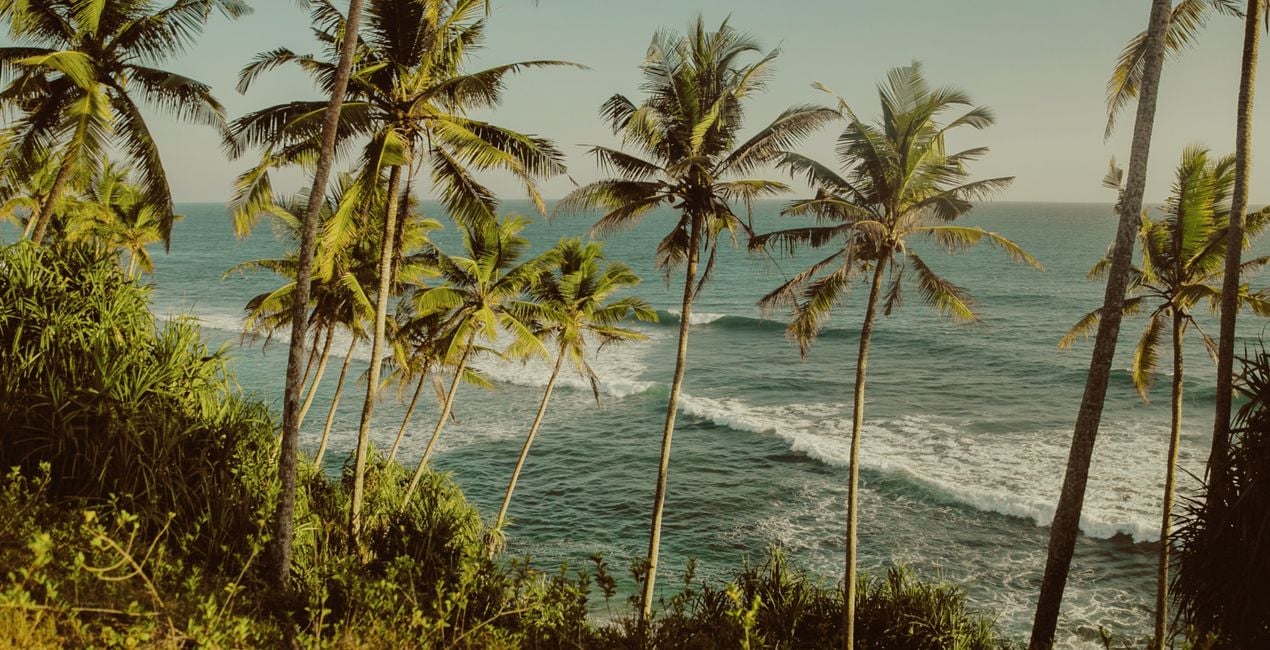  On the Wave Presets for Luminar | Marketplace(48)