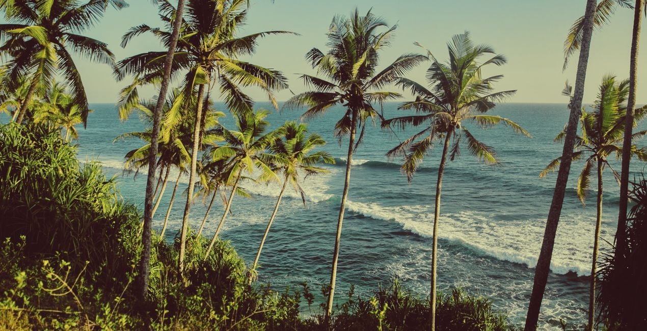  On the Wave Presets for Luminar | Marketplace(47)