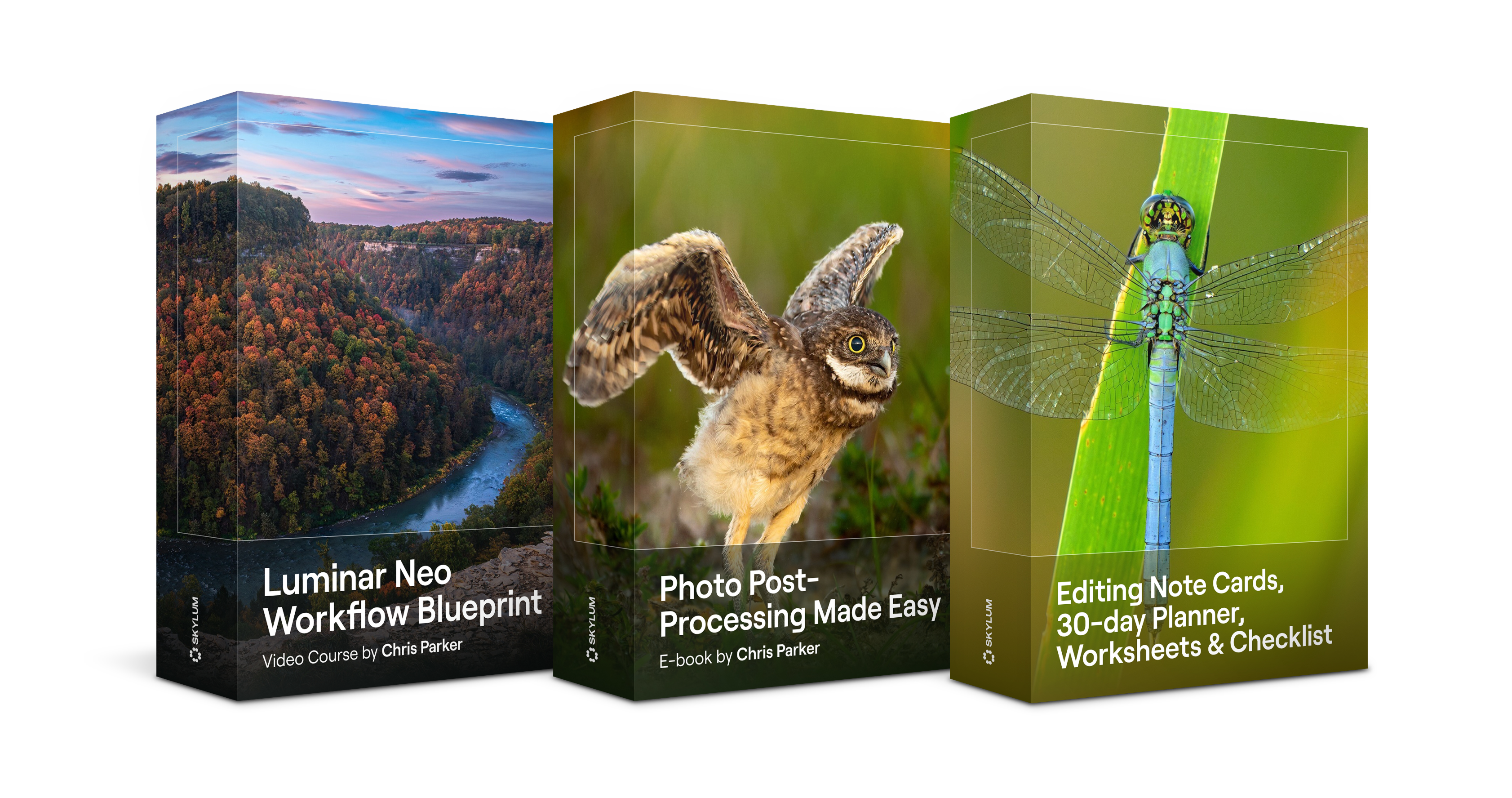 Luminar Neo Workflow Blueprint by Chris Parker (40)