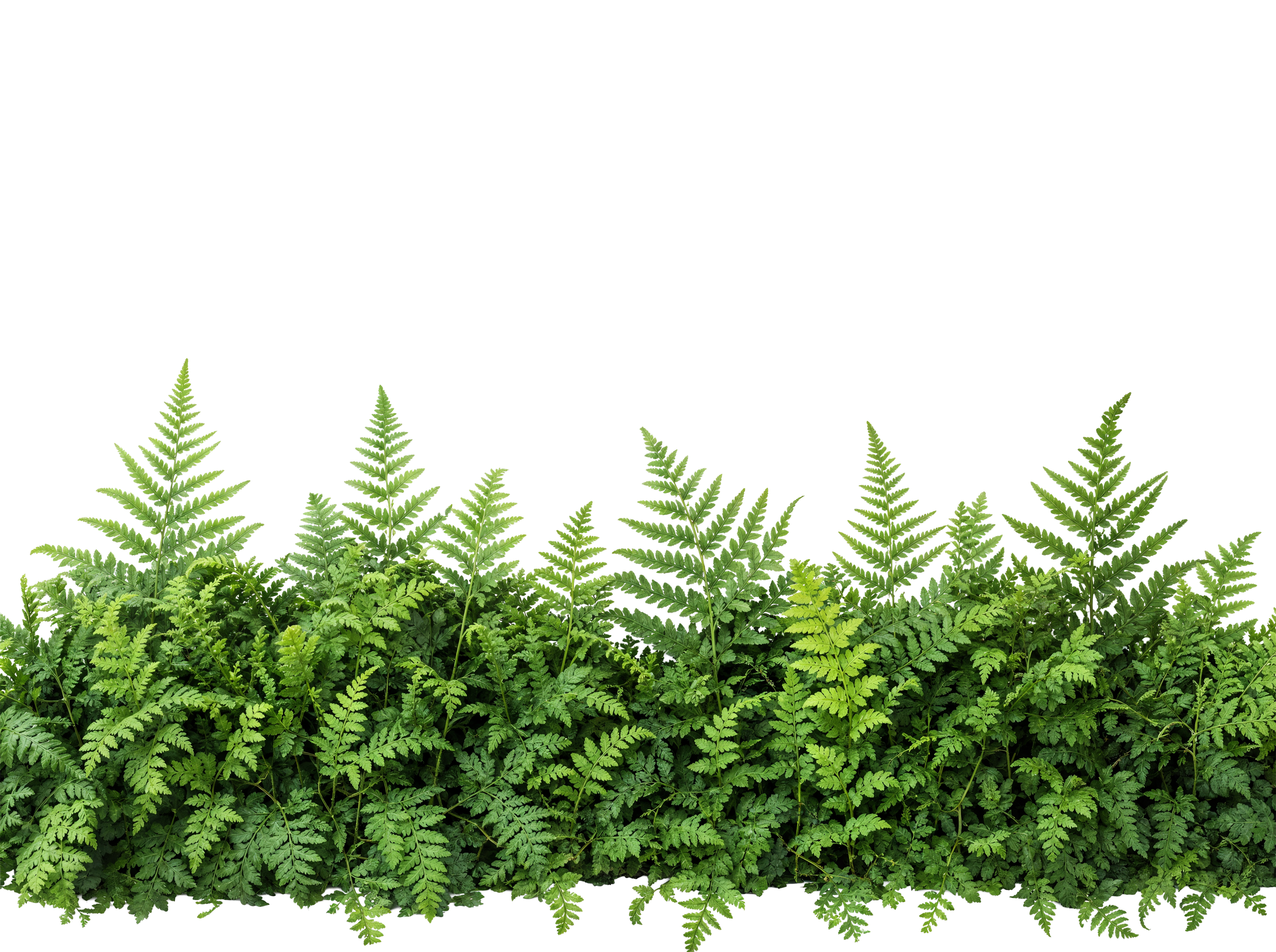 Foreground Greenery Overlays for Luminar | Marketplace(52)