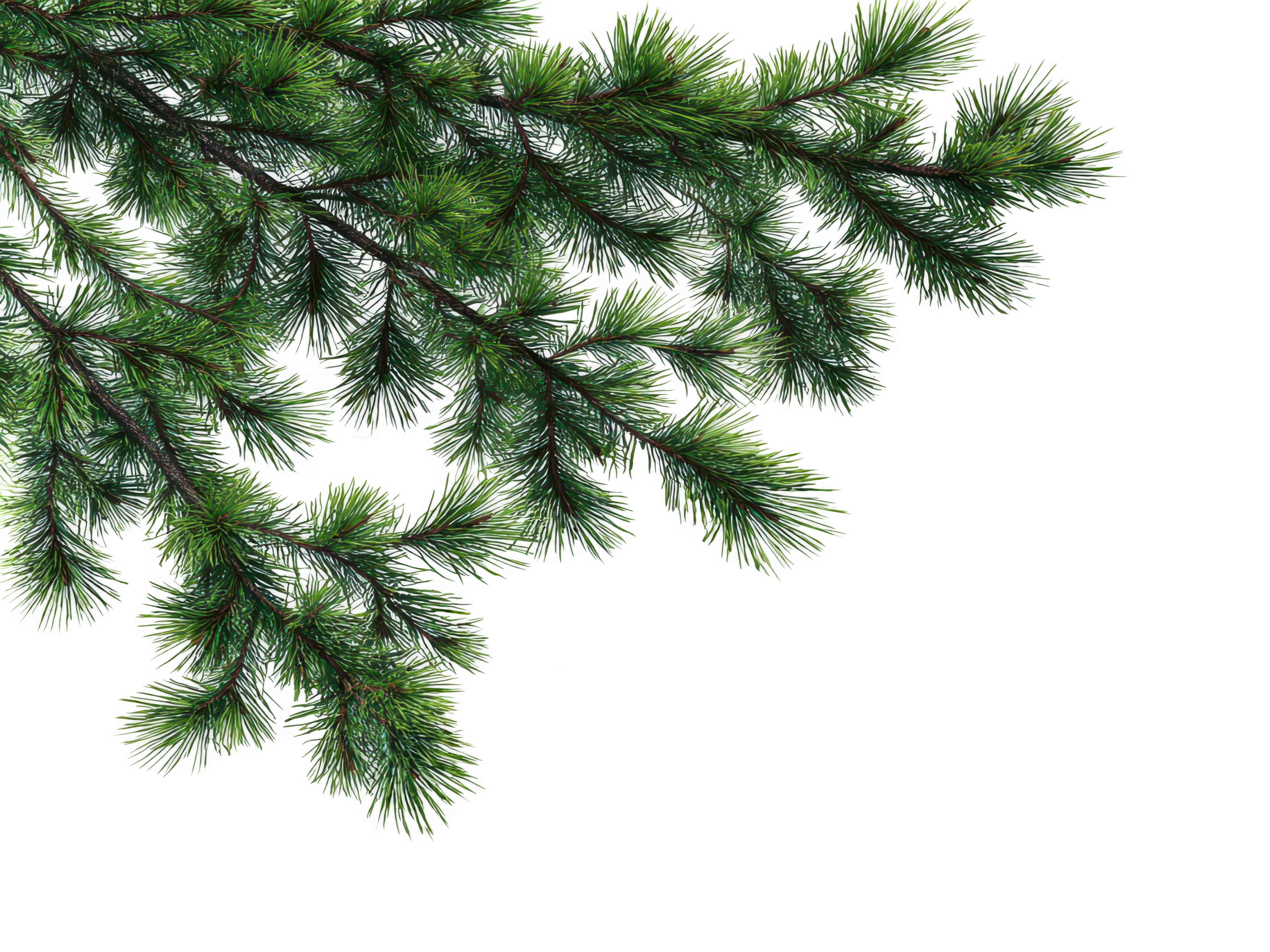 Foreground Greenery Overlays for Luminar | Marketplace(59)