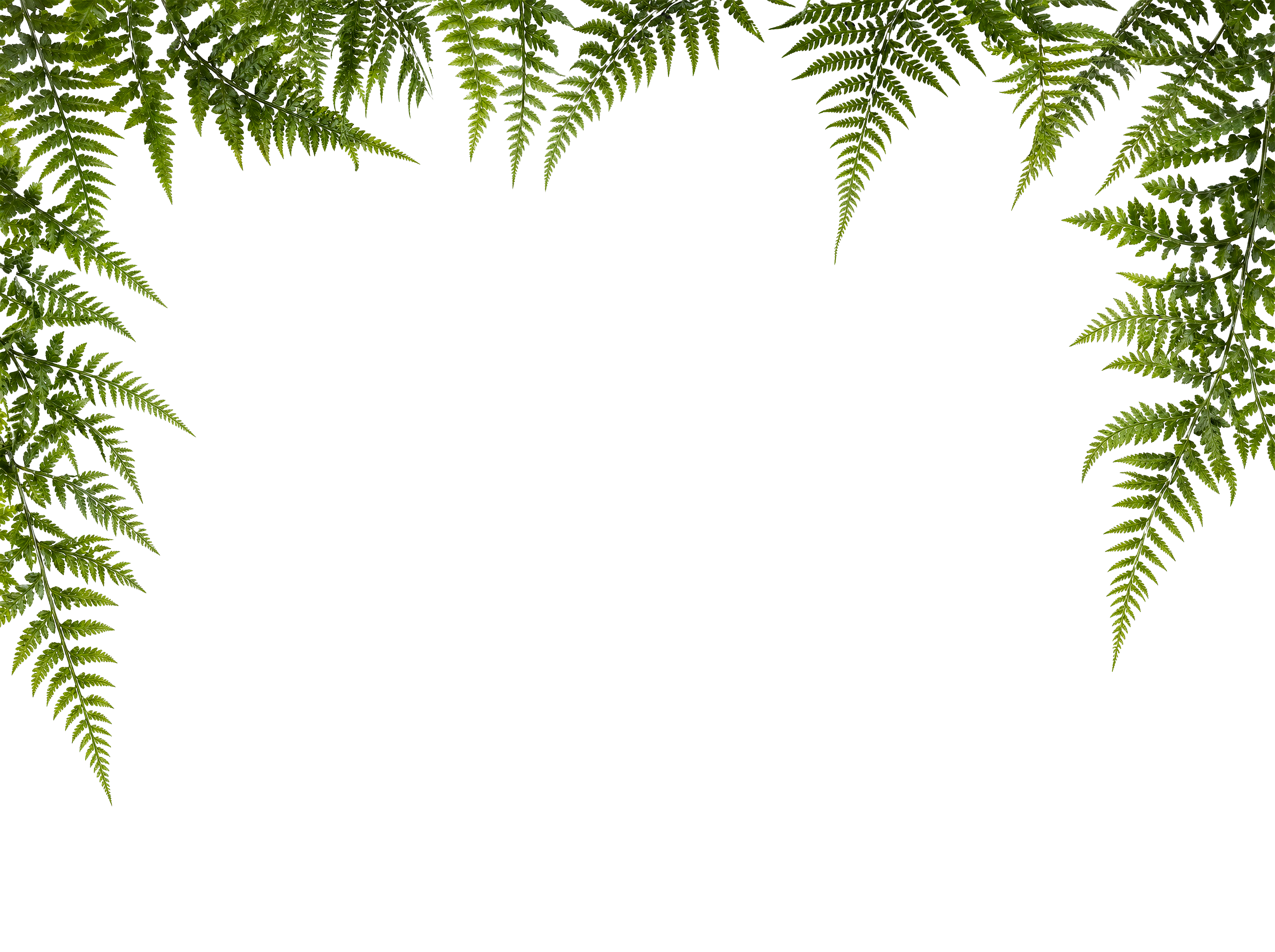 Foreground Greenery Overlays for Luminar | Marketplace(70)