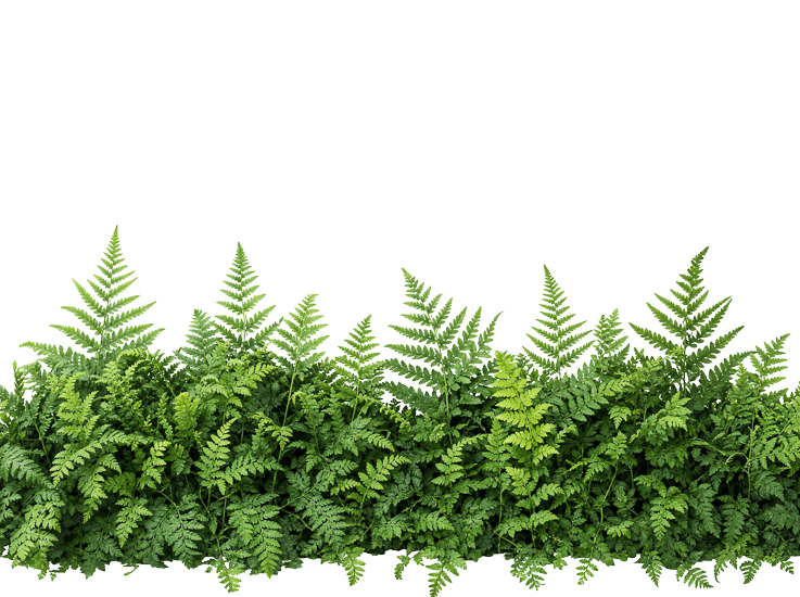 Foreground Greenery Overlays for Luminar | Marketplace(72)