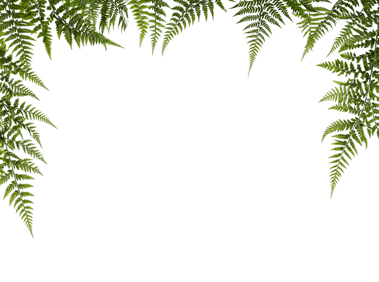 Foreground Greenery Overlays for Luminar | Marketplace(93)