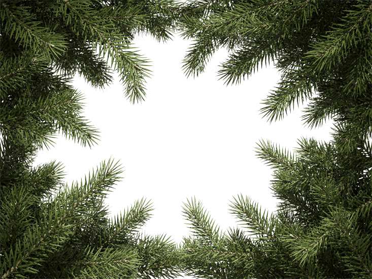 Foreground Greenery Overlays for Luminar | Marketplace(94)