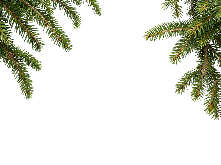 Foreground Greenery Overlays for Luminar | Marketplace(95)