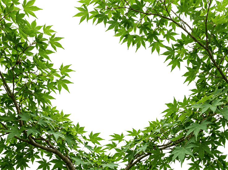 Foreground Greenery Overlays for Luminar | Marketplace(98)