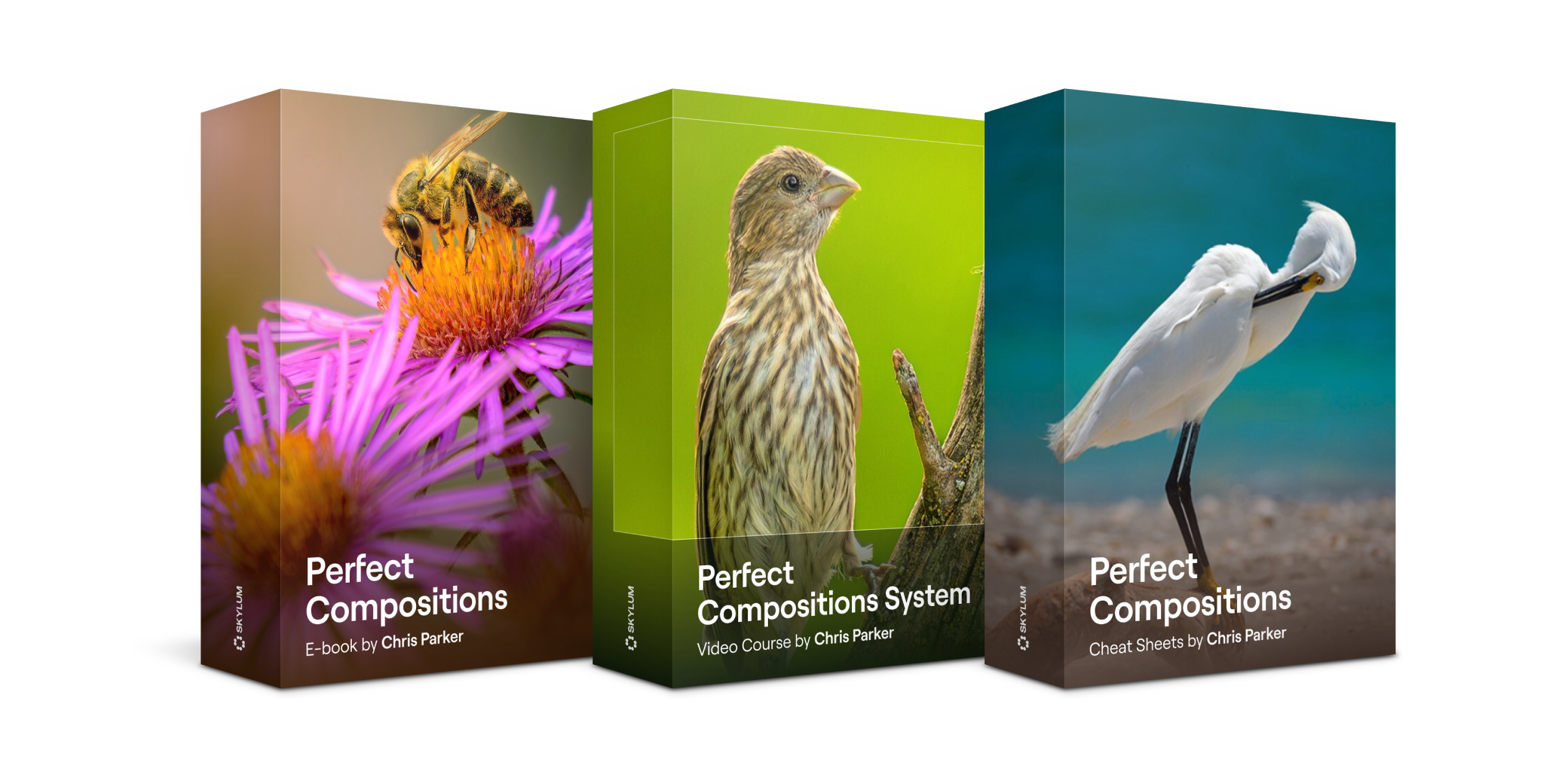 Perfect Compositions System by Chris Parker(40)