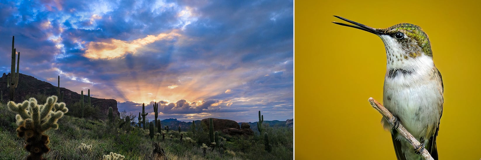 Perfect Compositions System