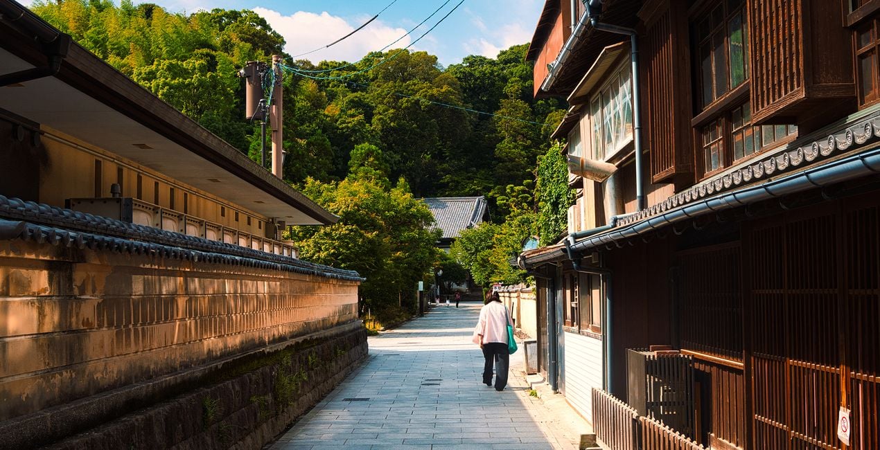 Préréglages Fukuoka pour Luminar | Marketplace(44)