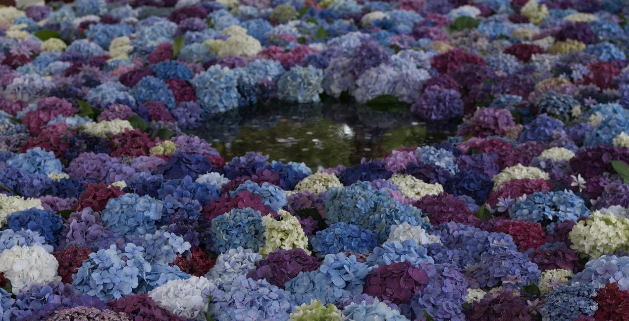 Préréglages Jardins Japonais pour Luminar | Marketplace(45)
