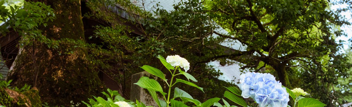 Japanese Gardens — slide 3