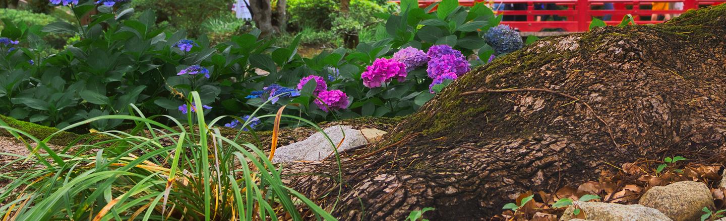 Japanese Gardens — slide 1