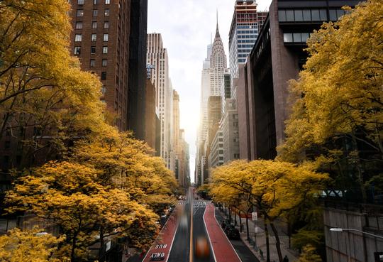New York: Mobile-to-Desktop Workflow image