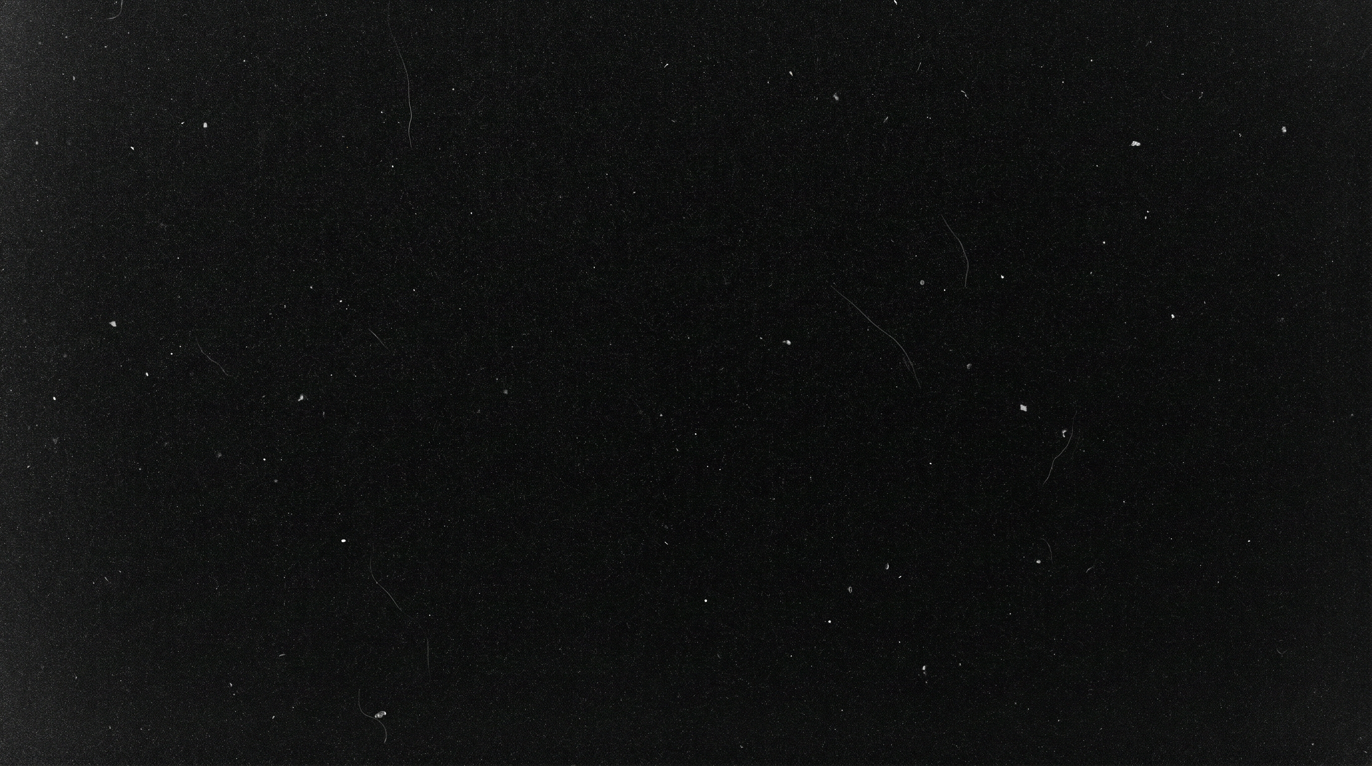 Analog Grain  Overlays for your photographs.(56)