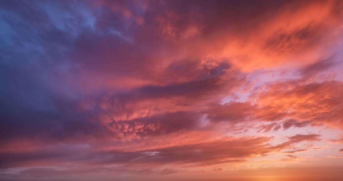 Bursts of Light | Luminar Marketplace(73)