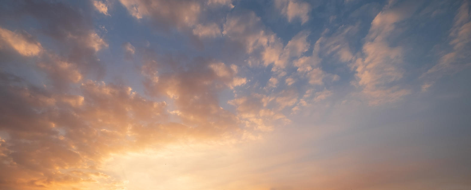 California Sunsets | Luminar Marketplace(56)