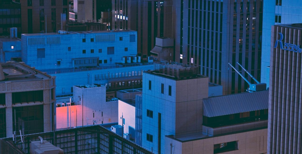 Neon Tokyo | Luminar Marketplace(44)