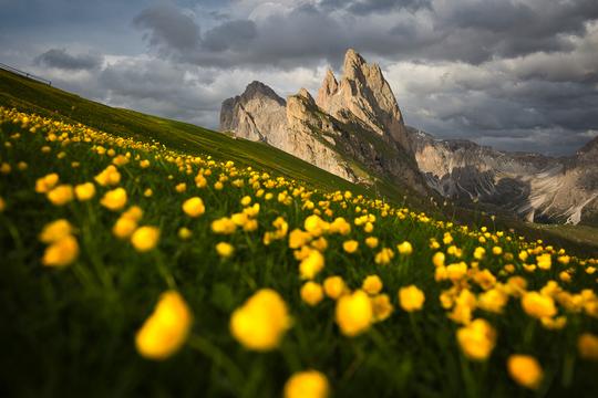Extraordinary Landscapes image