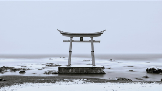 Monochrome Vision image