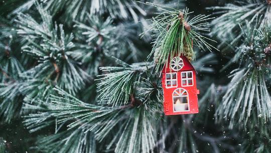 Winter Wonderland image