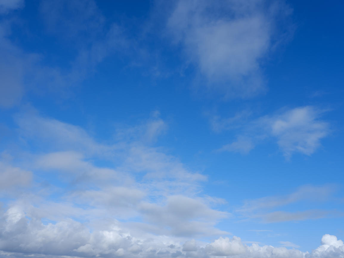 Morning Freshness | Luminar Marketplace(45)