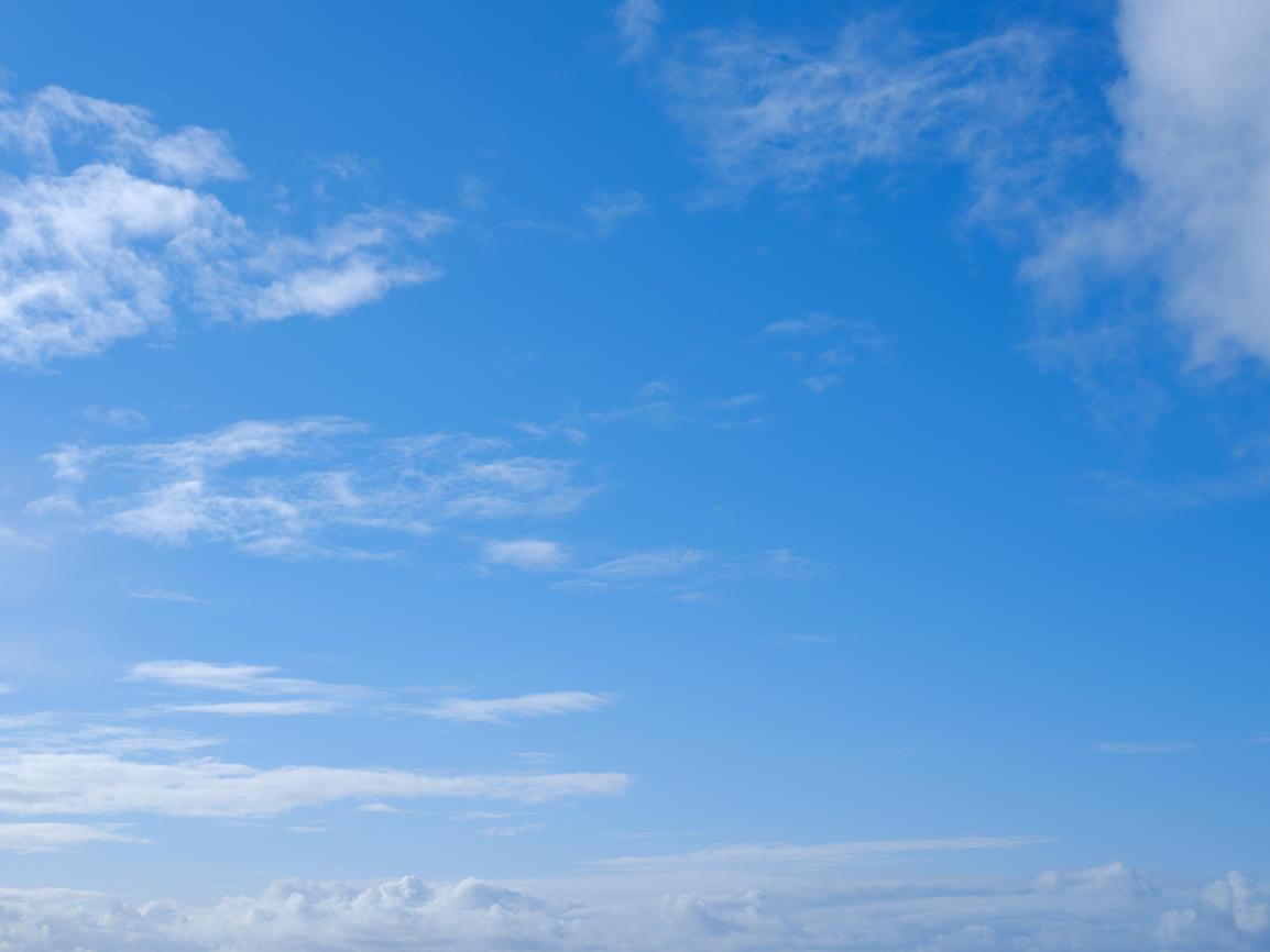 Morning Freshness | Luminar Marketplace(46)